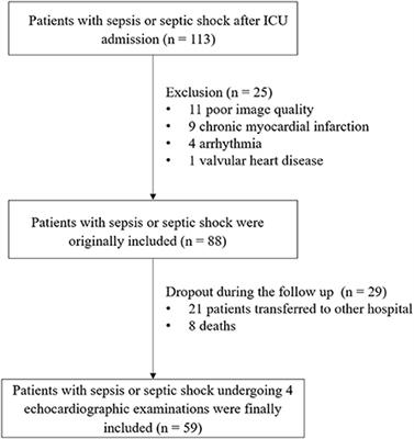 Serial changes in left ventricular myocardial deformation in sepsis or septic shock using three-dimensional and two-dimensional speckle tracking echocardiography